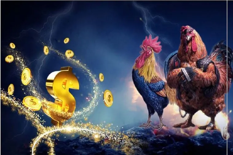 Bí Quyết Chơi Đá Gà Sabong Tại XIN88 Thắng Lớn Năm 2025