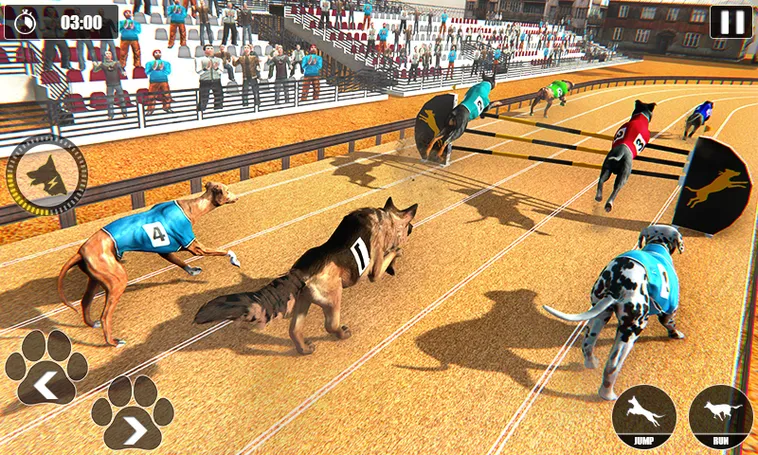 Bí Kíp Chơi Game Nhanh Đua Chó Tại XIN88 Để Thắng Thưởng Lớn
